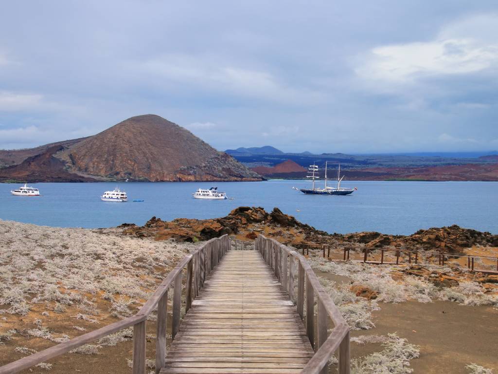 Bartolome Island: A Must-See Destination in the Galapagos