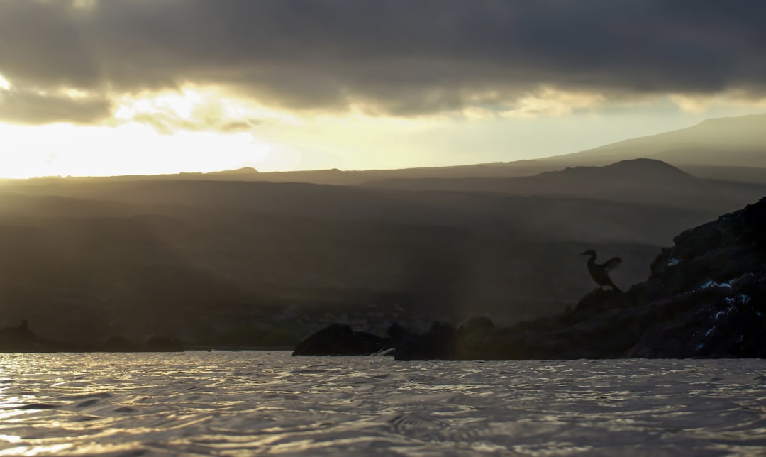 Photo Seahorse, Galapagos Islands