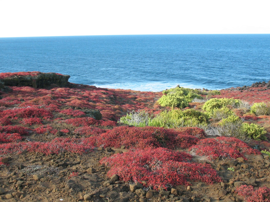 Discover the Fascinating Interpretation Center in Galapagos Islands