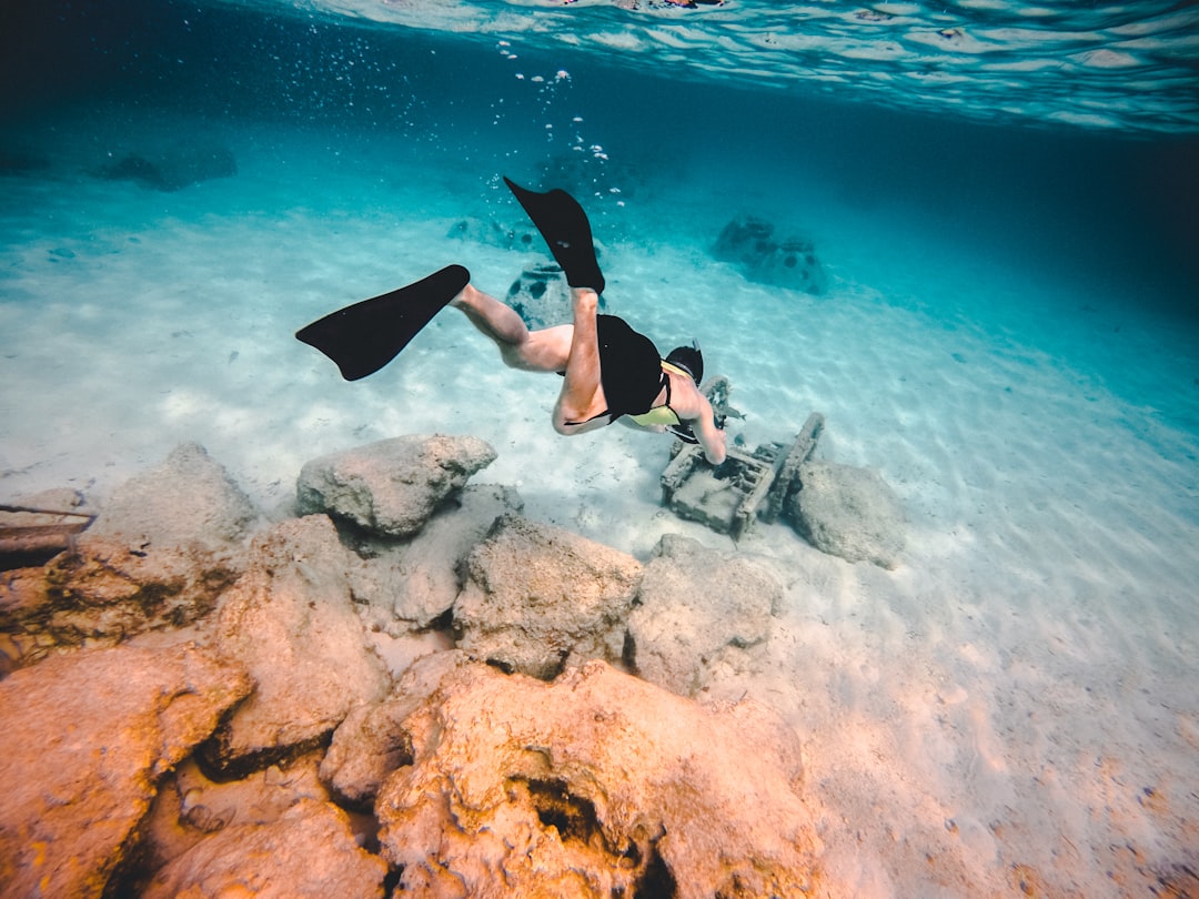 Photo Underwater snorkeling