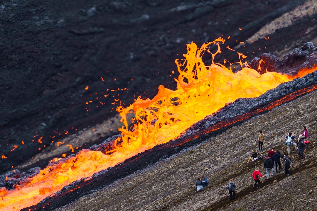 Photo Lava iguanas