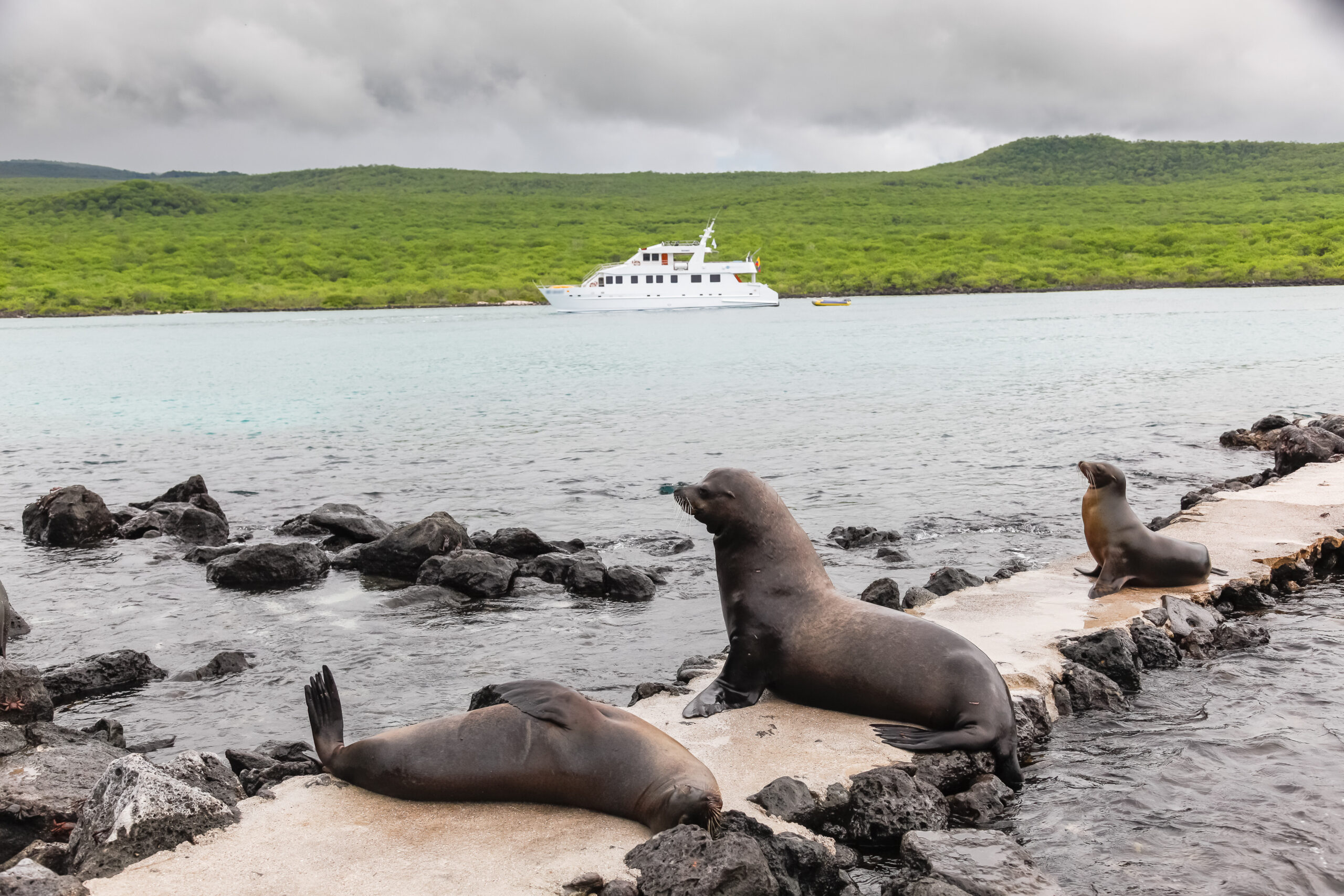 Why protect the Galapagos Islands